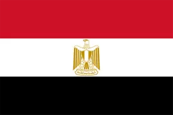 埃及 队徽